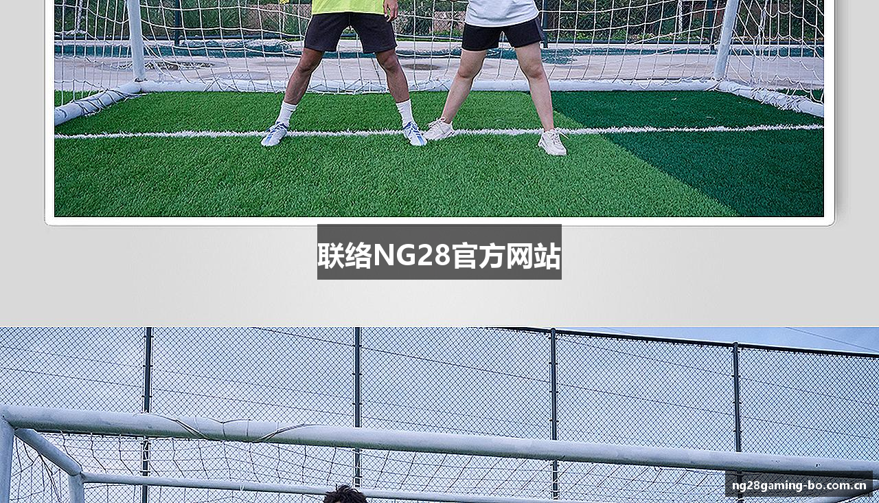 联络NG28官方网站